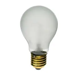Philips PF207E komp. 250w 230v E27 - Fotopærer