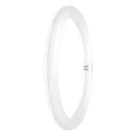 Ledvance LED Lysrør TUBE T9 C 32 EM VALUE 18.3W 830 G10Q 3000K 2000lm 110° 30,0cm IP20 - 30 cm