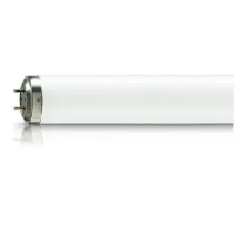 Philips Actinic BL TL 40W/10 G13 UV-A-lyskilde - Specialpærer og speciallyskilder